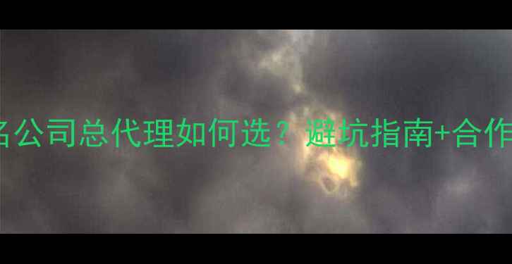 图片 🔥搜索排名公司总代理如何选？避坑指南+合作全流程💡1