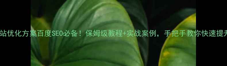 图片 🔥新网站优化方案百度SEO必备！保姆级教程+实战案例，手把手教你快速提升流量1