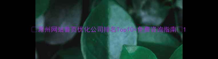 图片 🔥滁州网站首页优化公司排名Top10+免费咨询指南🔥1