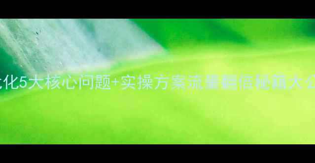 图片 🔥网站优化5大核心问题+实操方案流量翻倍秘籍大公开！💻2