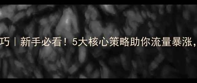 图片 🔥网站优化技巧｜新手必看！5大核心策略助你流量暴涨，附实操案例1