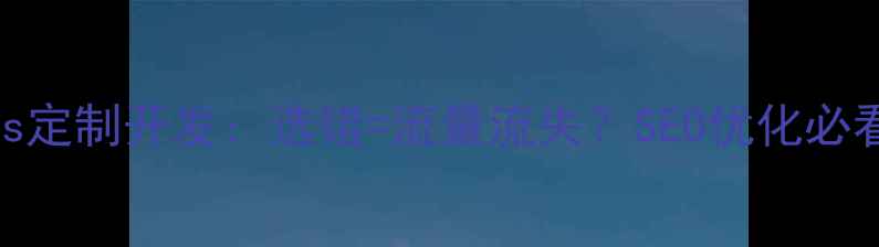 图片 🔥网站模板vs定制开发：选错=流量流失？SEO优化必看避坑指南💡