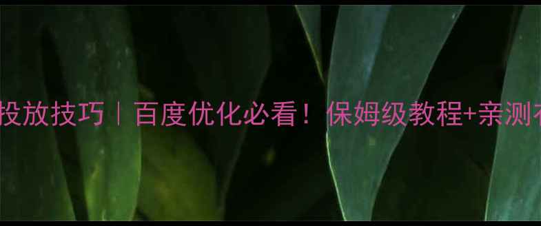 图片 🔥网页广告投放技巧｜百度优化必看！保姆级教程+亲测有效的方法2