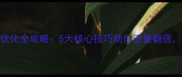 图片 🔥网页设计优化全攻略：5大核心技巧助你流量翻倍，SEO必看！1