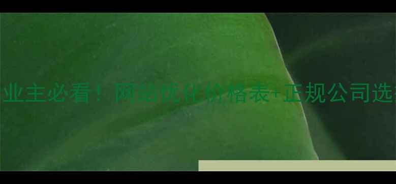 图片 🔥铜陵企业主必看！网站优化价格表+正规公司选择攻略🔥